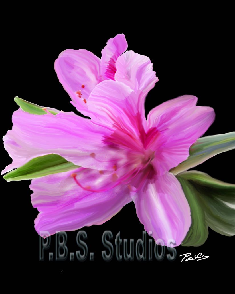 Flower Azalea