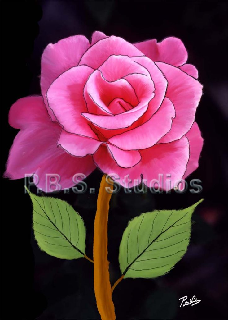 Pink Rose Flower on Black Digital Painting