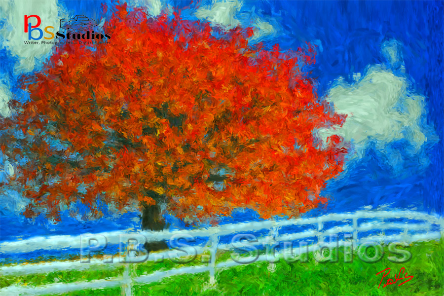 Fall Impressions