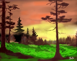 Evergreens in Evening
