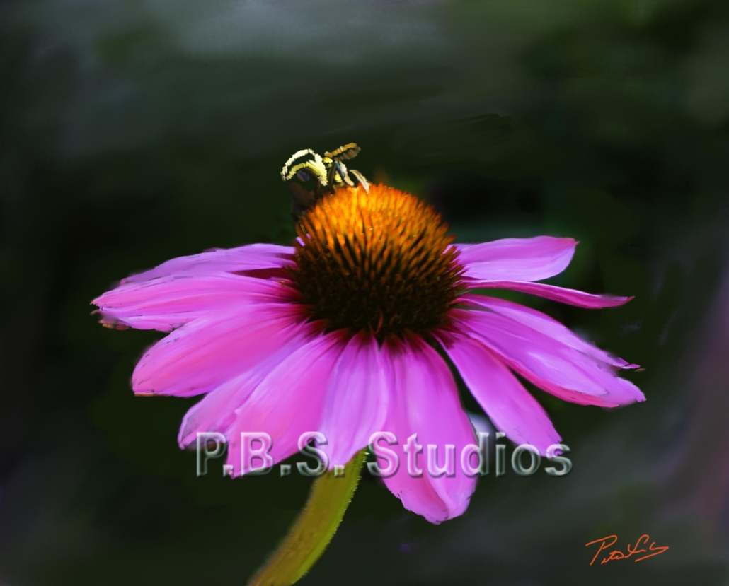 Purple flower and bee