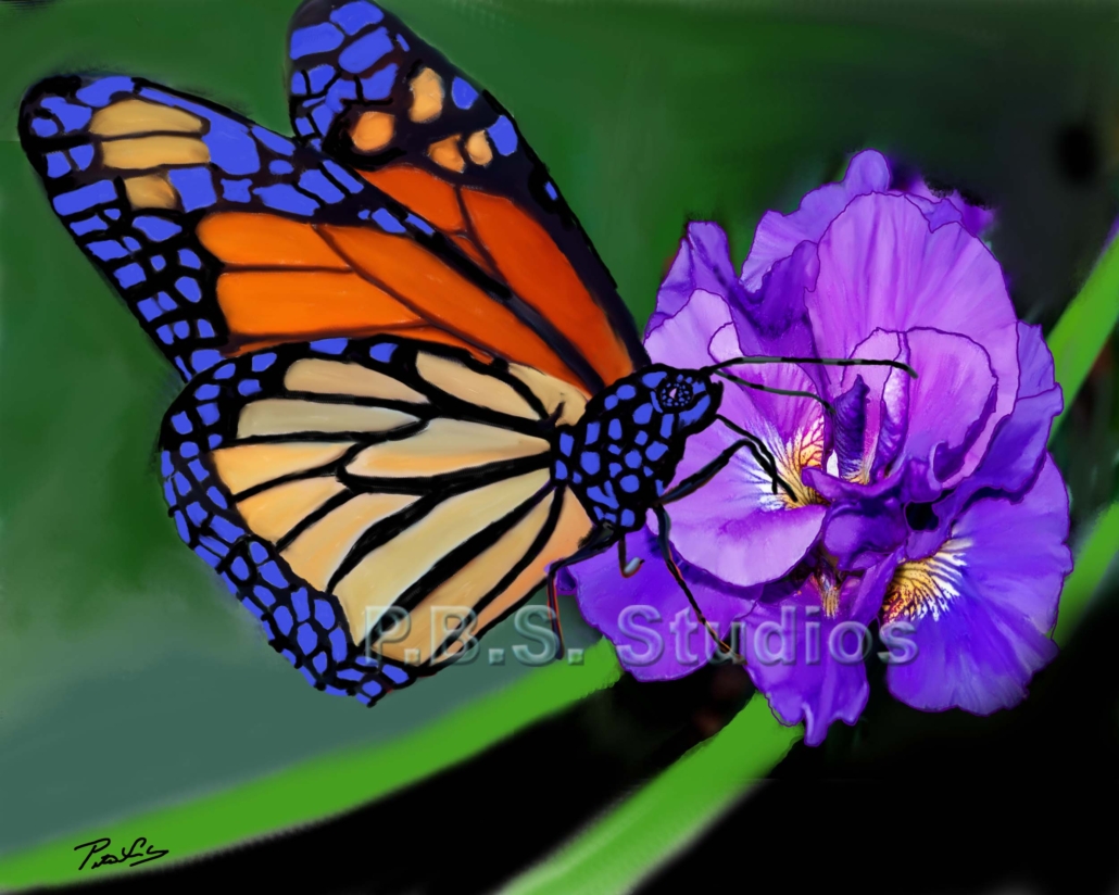 Butterfly and Small Flower