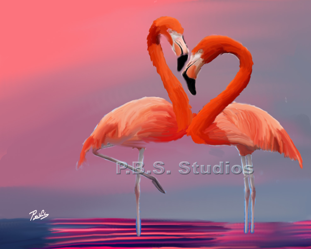 Flamingo Birds